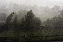 Downpour / ***