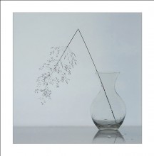 fragility / .................