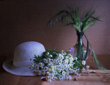 Mit Unkraut und einem Hut / ***