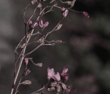  / *********