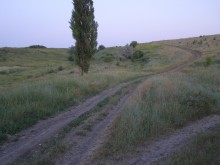 Road / ***