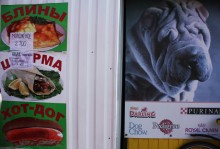 The food chain / ***