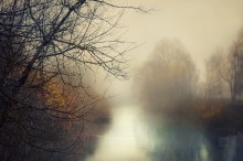 Morning magic / ***