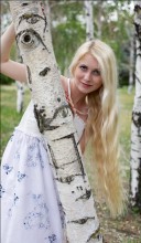 white birch / ***