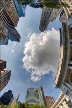 ... Selbstbildnis in der Nähe der NY-Bibliothek ... / ...New York...New York...