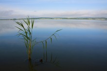 watering place / ______