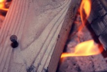 Feuer / ***