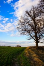 3 htsvetny landscape / .....