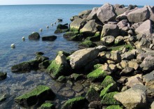 Sea / ***