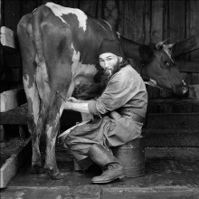Portrait der Arbeit / ***