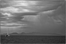 Rain / ***