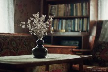 rustic still life:) / ***
