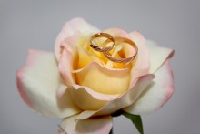 ring / ***