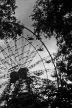 Wheel 2 / _____