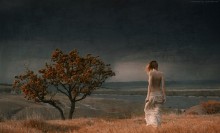 What Dreams May Come / *****