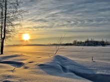 little winter / ***