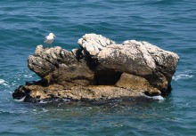 Ghaleb Reef II / ***