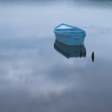  / ***