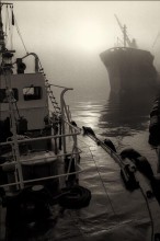 Morning at the port. / ***