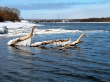 a series of "Oka views - 1" / ***