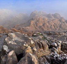 Small and large stones. / ***