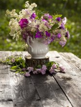 Bouquet with bindweed. / ***