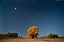 Star Day / ***