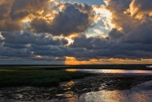 Evening in the estuaries of the Azov / ***