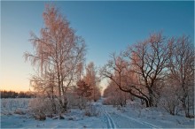 Country road / ***
