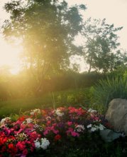 Abend im Park / ***