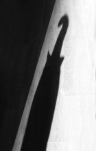 About the cat-2 / ***