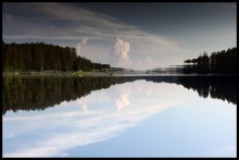 Reflection / *****