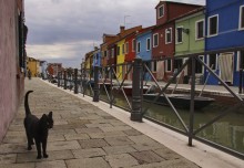 Venice island of Burano / ***