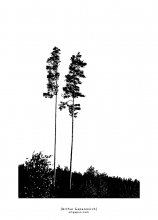[ GEO`graphica ] / ***