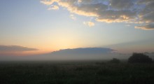 July morning / ***********