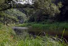 river / ***