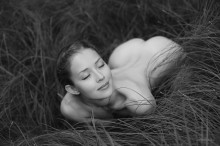 the deep forest / Svenska sagor