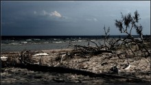 The end of geography / ***