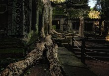 wood, stone, temple number 3 / ***