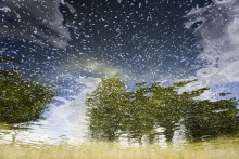 Untitled / ***