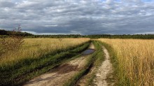 In dem Gebiet, Laufbahn ... / ***