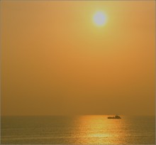 Evening flight / ***