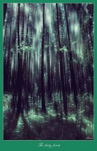 The fairy forest / ***