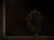 Color of Night ... / ***