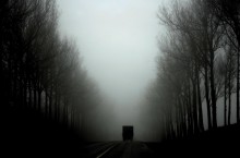 Stir in the fog / ***