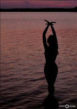... I would like to spread my wings ... / ***