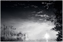 Unterwasserwelt (h \\ \\ b) / ............................