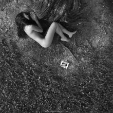 Dream / ***