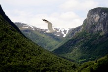 Fairytale Norway / ***