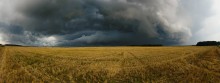 Amselfeld / ***